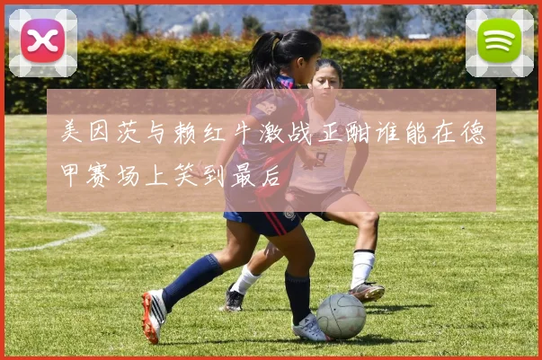 美因茨与赖红牛激战正酣谁能在德甲赛场上笑到最后